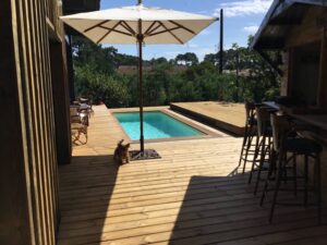 Terrasse en bois lumineuse avec petite piscine, parasol blanc, bar extérieur et un petit chien marchant. Vue sur végétation luxuriante.