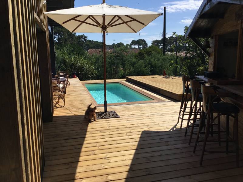 Terrasse en bois lumineuse avec petite piscine, parasol blanc, bar extérieur et un petit chien marchant. Vue sur végétation luxuriante.