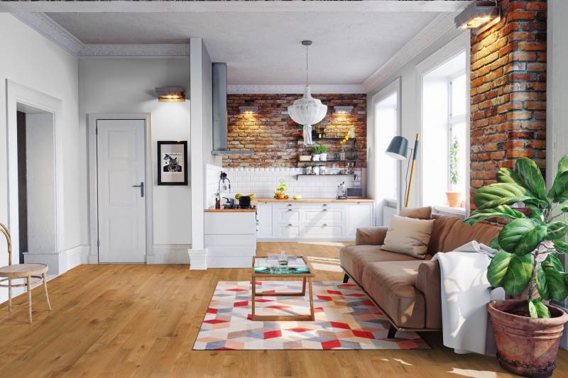 Salon cuisine ouvert, sol bois, canapé, table basse, tapis géo. Mur brique, cuisine blanche, lum. Grande fenêtre, plante.