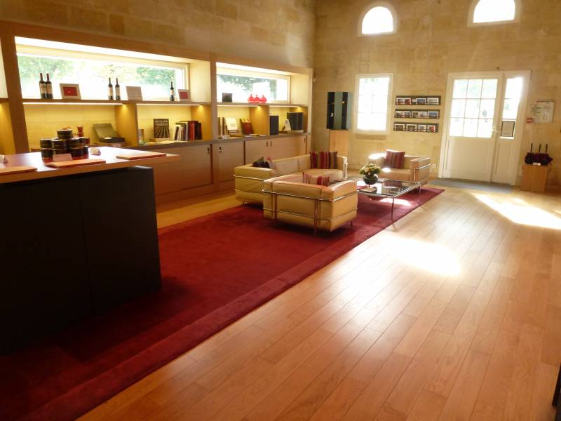 Spacieux salon moderne avec canapés en cuir clair sur tapis rouge, sol en bois, murs en pierre et étagères. Ambiance lumineuse et élégante.